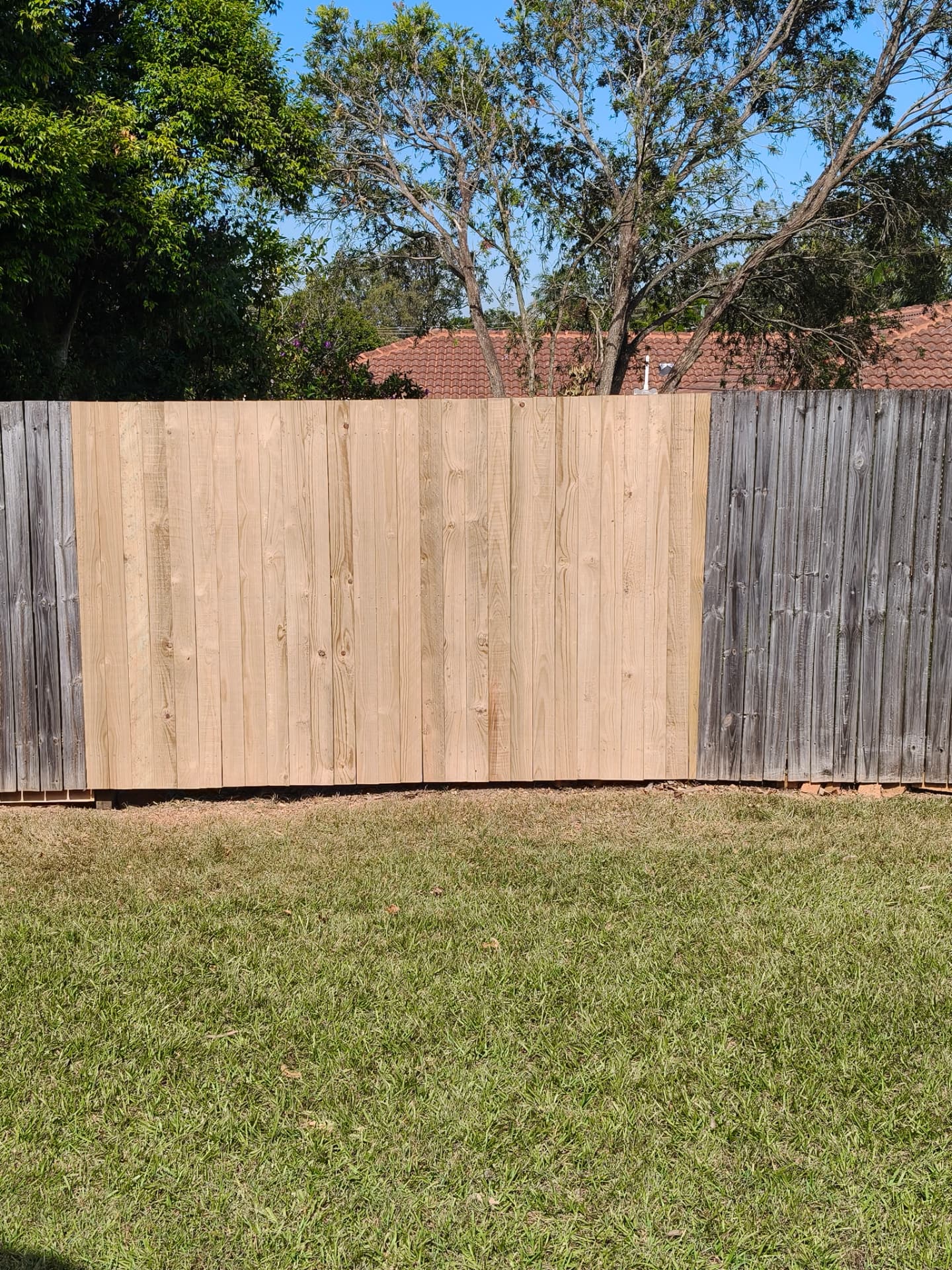 New timber fence panels replacing weathered palings
